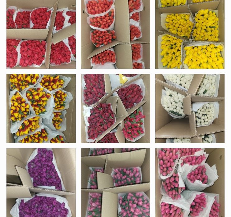 Продажа тюльпанов к 8 марта