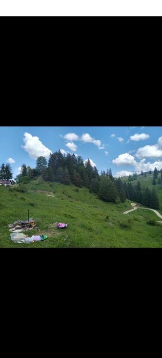 Anexa si cu teren extravilan la munte