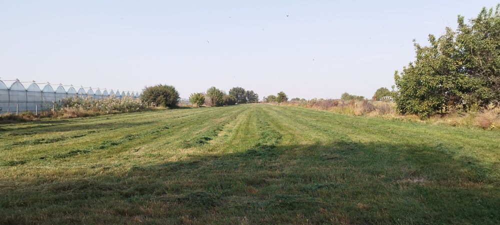 Поле Участо  2га