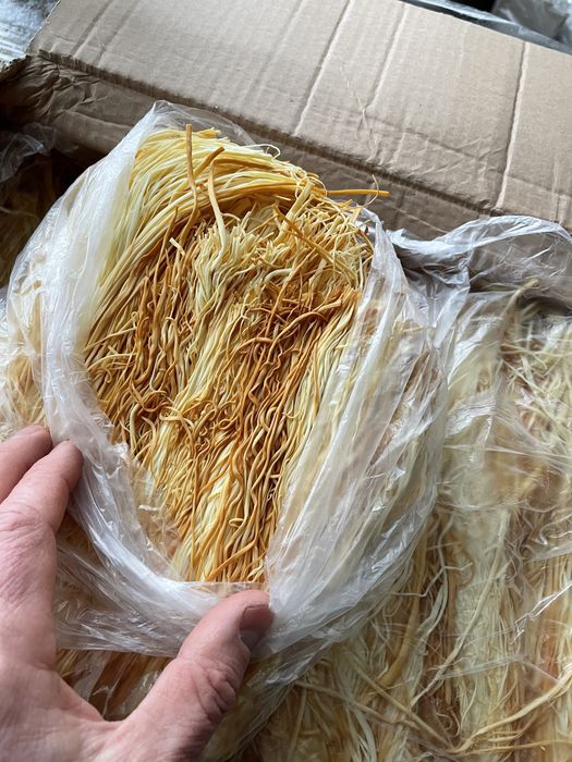 Продаю сыр чечил оптом