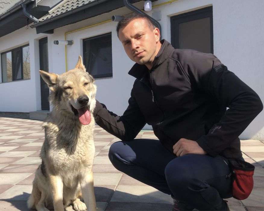 Dresaj canin in Vaslui ~ Câinii lui Ștefan