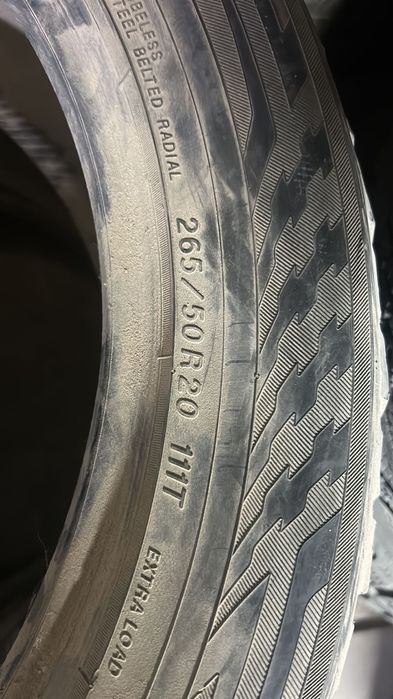 Шины шины болоны