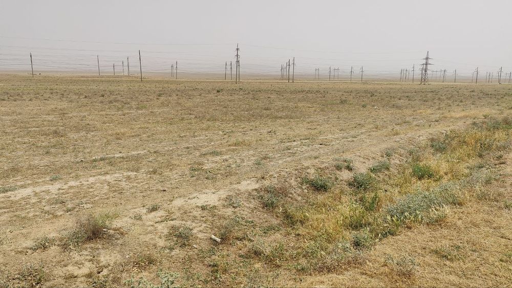 Yangioboddan 48 so'tix bo'sh yer maydoni sotiladi