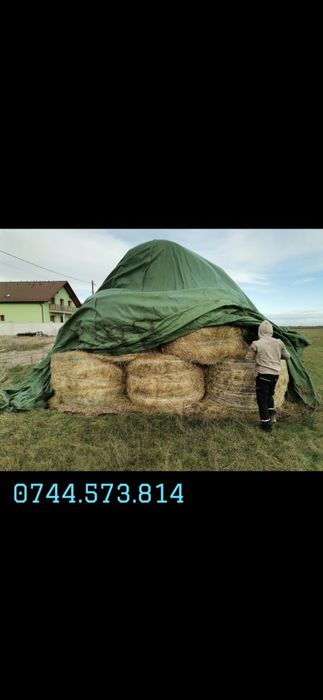 Baloti fan sau Lucerna Livram RO UE  la TIR rotunzi 1,2m x1,2 m cate min 40.dreptunghiulari min  500.nu dam la bucati.