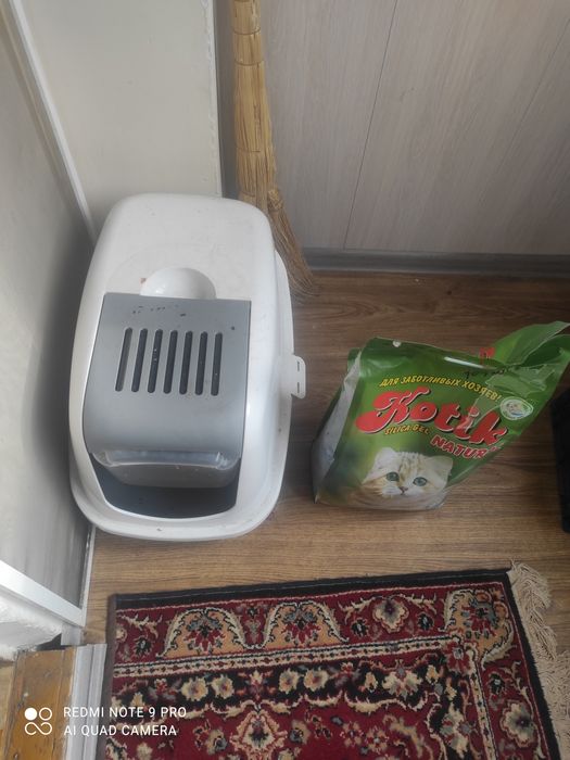Туалет для кошки