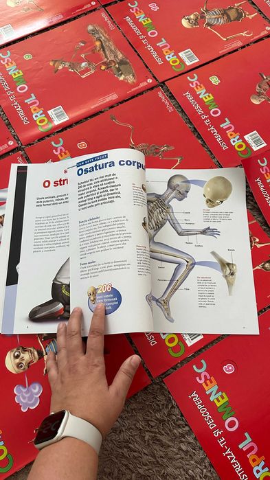 Lot Reviste „Distrează-te și descoperă Corpul Omenesc” Editura: Hachette