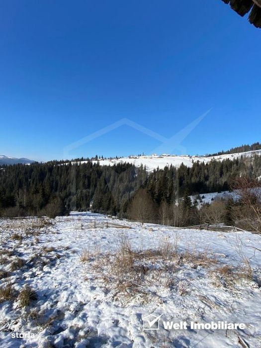 Oportunitate.Teren de vanzare la munte-BELIS