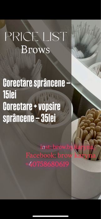 Sprâncene Arad Aurel Vlaicu