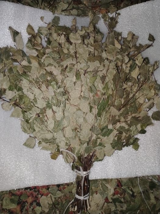 Продам берёзовые банные веники