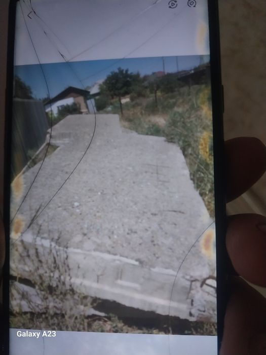 Патолог плита  шшв