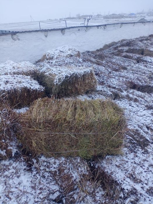 Сено отличного качества