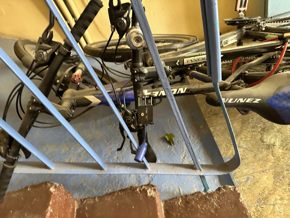 Velosoped 2025 Avgust oyida olingan