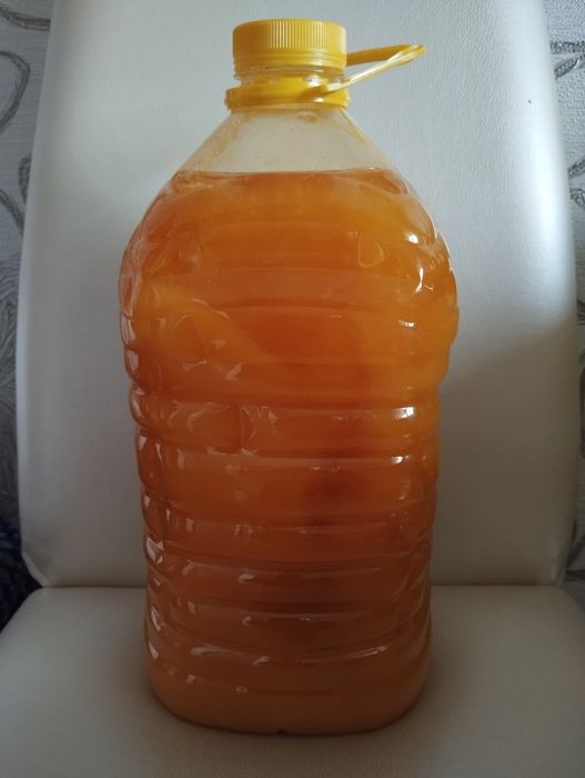 Продаётся мёд Катон Карагайский