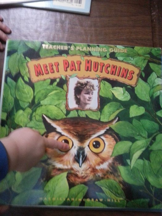 Учебное пособие для учителя на английском языке