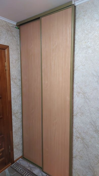 дверь купэ  2,50  высота