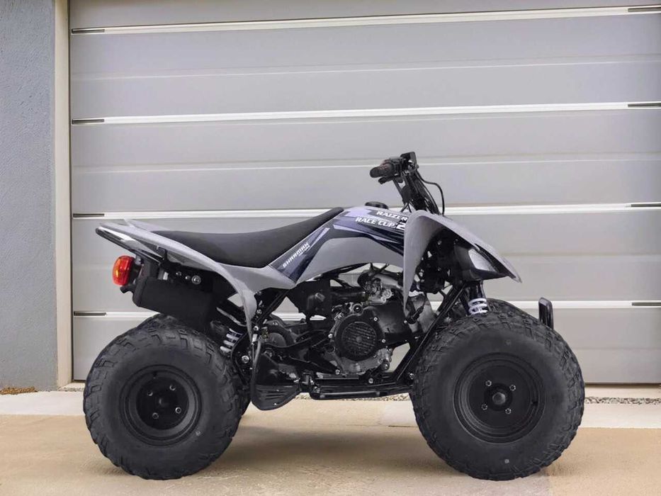 Квадроцикл Sharmax Raizer Race Cup 250