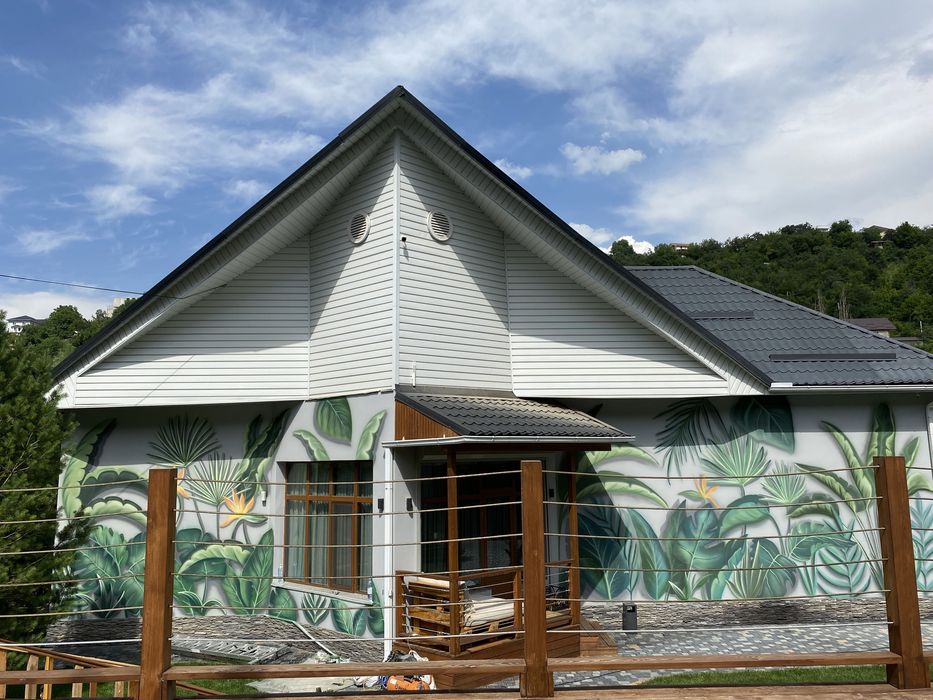 Роспись стен Художник Граффити Аэрография