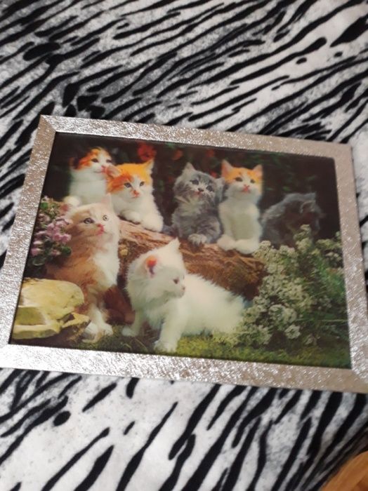 4 D -Нова Картина