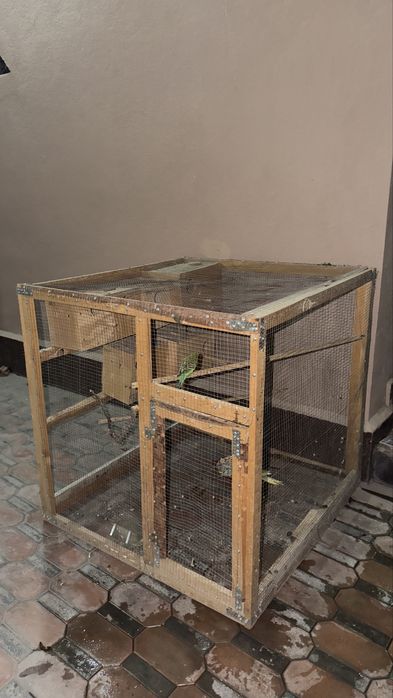 Papugaylar uchun Valer sotiladi