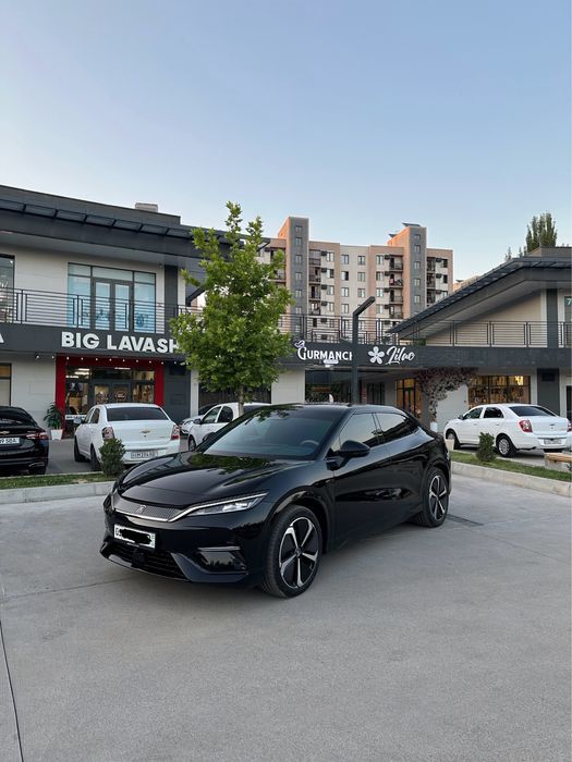 Byd song L 2024 yil