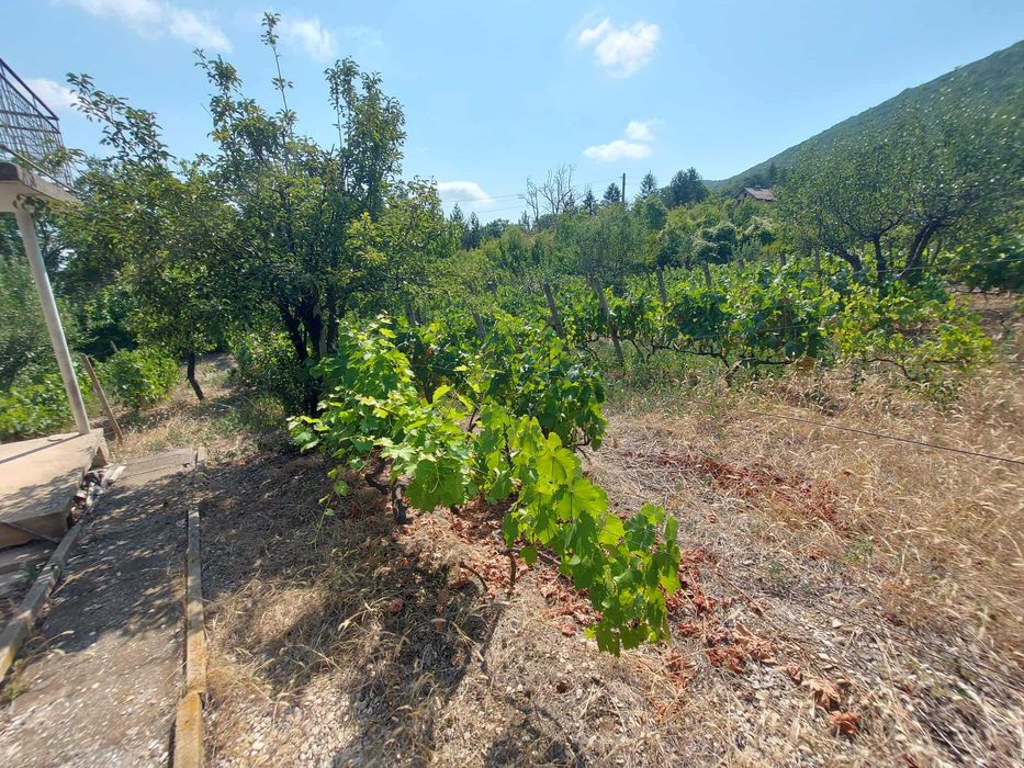 Продава се Къща в Търговище, Вилна зона - 40 кв.м за 829 €/кв.м - Снимка #13