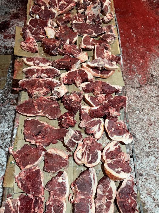 Продаем Соғым конина откормленные