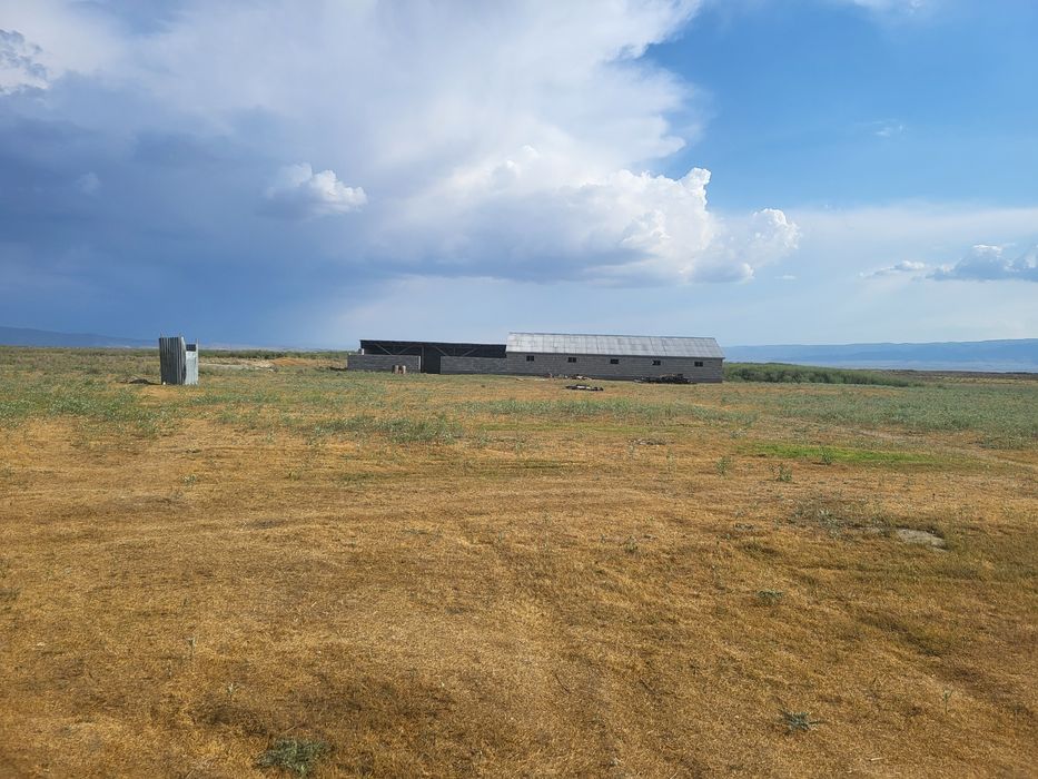 Фазендаға срочно срочно