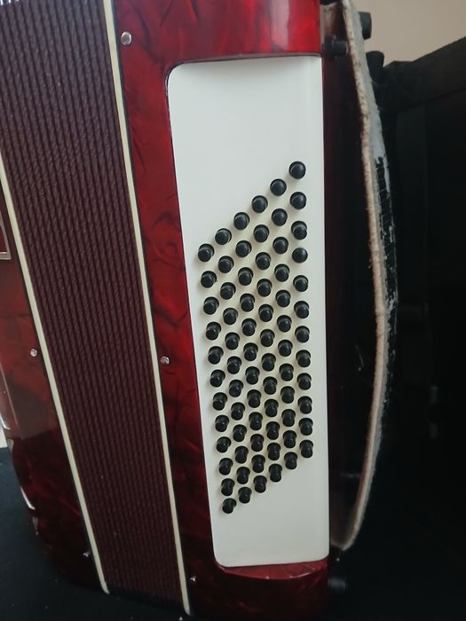 Vand acordeon Parrot