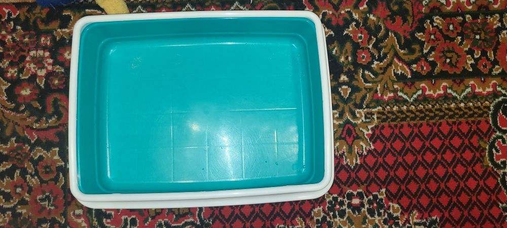 Продам лоток для кошки большой лоток