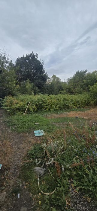 Продам дом обмен толка на денги