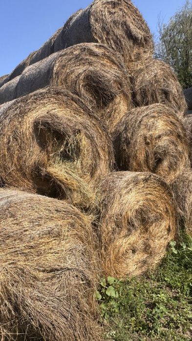 Vand Baloti Baloti Fân 2025