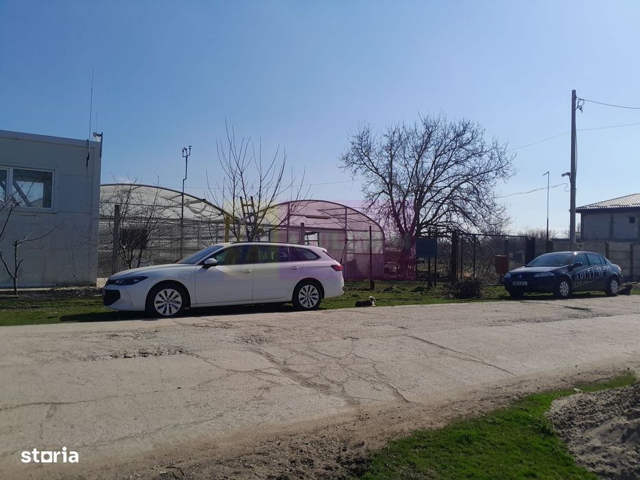 Vanzare Teren 3100 Mp - Sat Rosiori (Il)