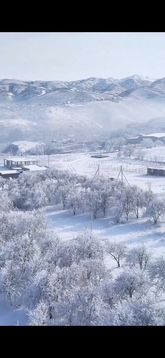 Қаскелең Известковый