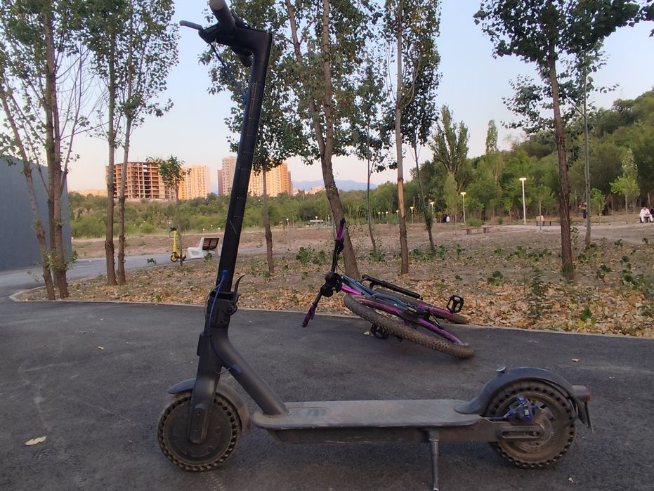Самокат Xiaomi Mi Electric Scooter 3 черный
