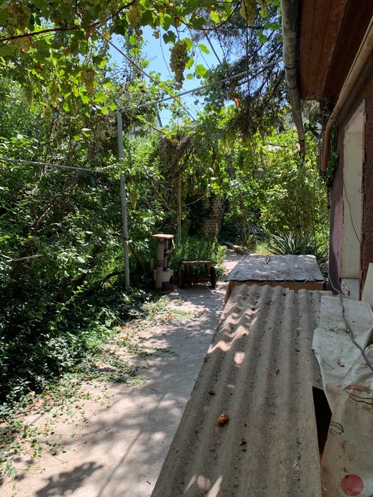 Мирзо-Улугбек район.  Академгородок участок 6,4 сот, 300000!