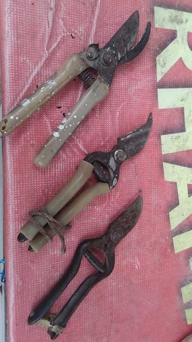 Секатор или сучкорез.ссср.цена за один.