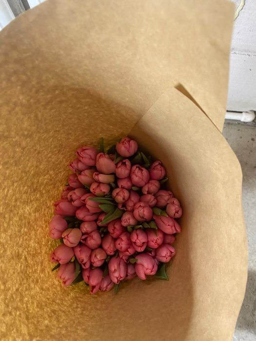 Продам тюльпаны оптом