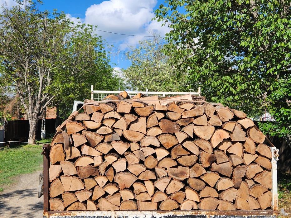 PRET BOMBA lemne de foc tăiate și sparte la palet – fag, stejar, salcâm, frasin