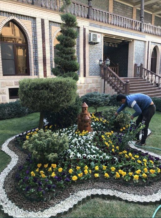 Gazon va poliv sistema