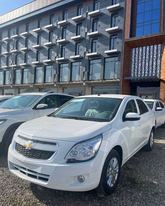 Mudatli tolov cobalt