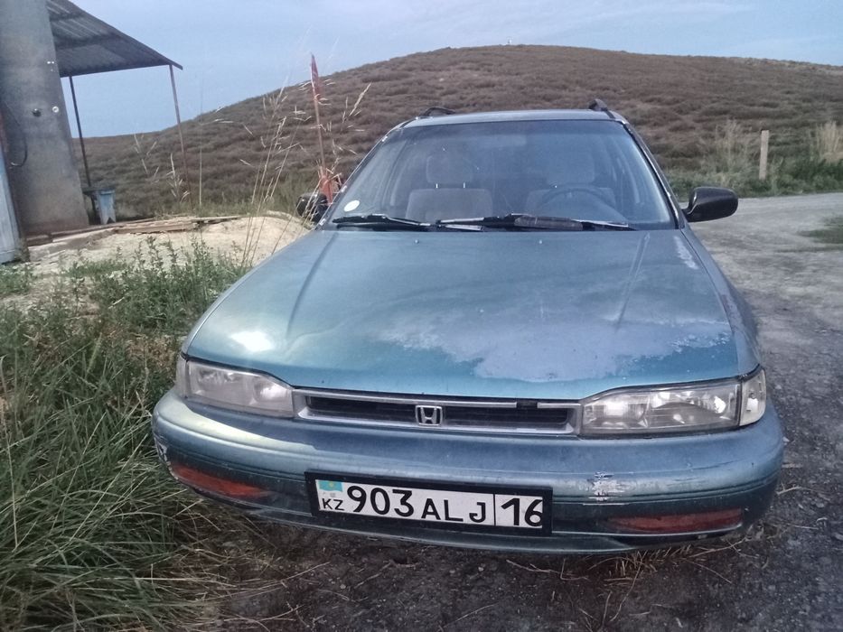 Прадам целиком или на разбор