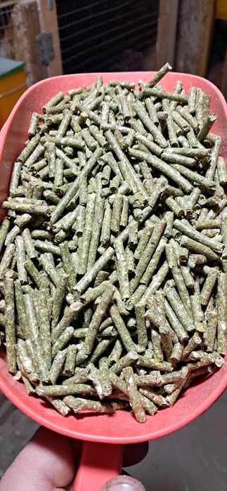 Quyon uchun mahsus korm tavsiya qilaman