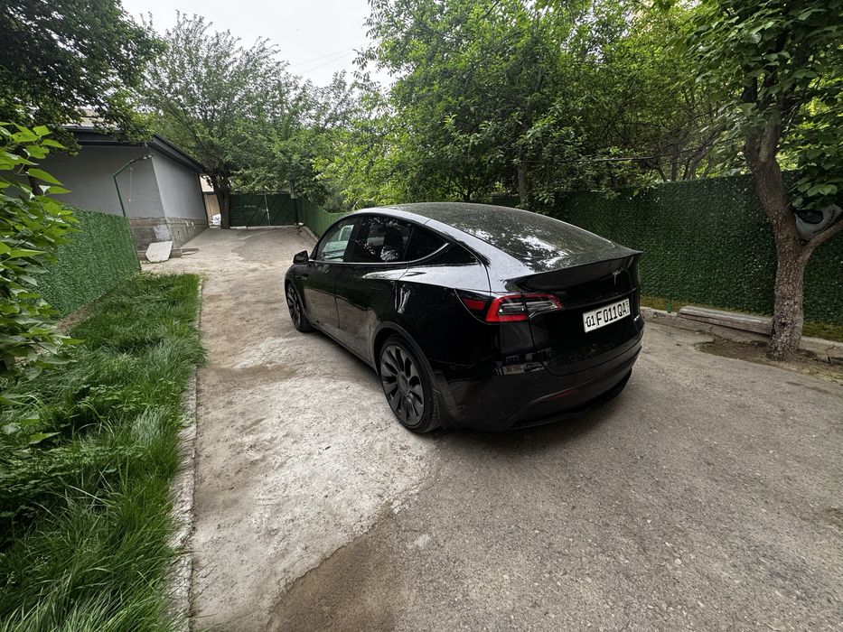 Tesla model Y performance
