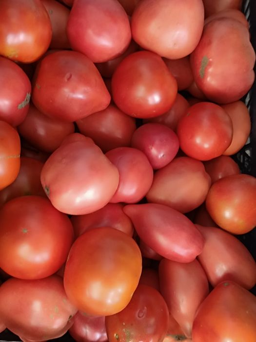 Продам домашние помидоры разных сортов