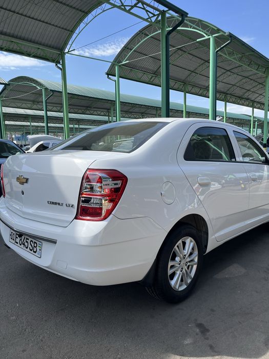 Cobalt 2022 srochno Variant bor