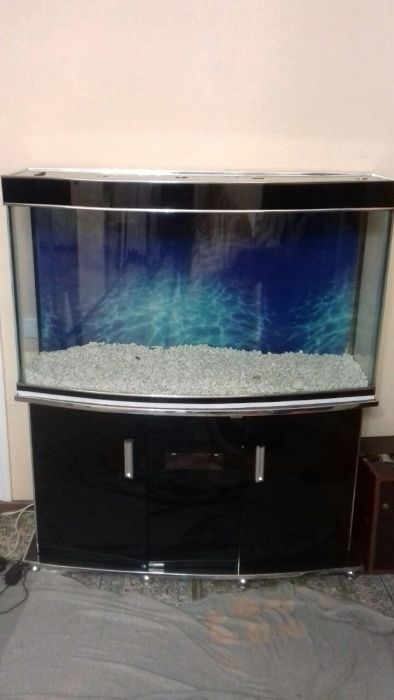 Аквариум ремонт любой часть реставрация аквариумной мебели