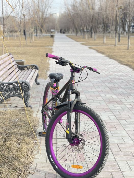 Велик стант новый