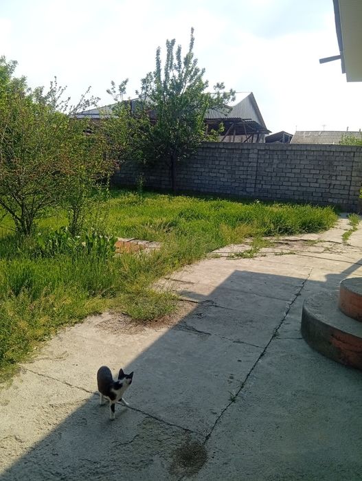Кибрай Аргинда  2.5 сотих ер  сотилади. Срочно. 67 000 $