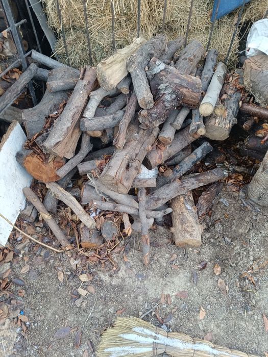 Otin sotaman Qopda mevali