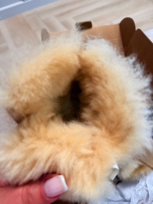 Обувь детская UGG